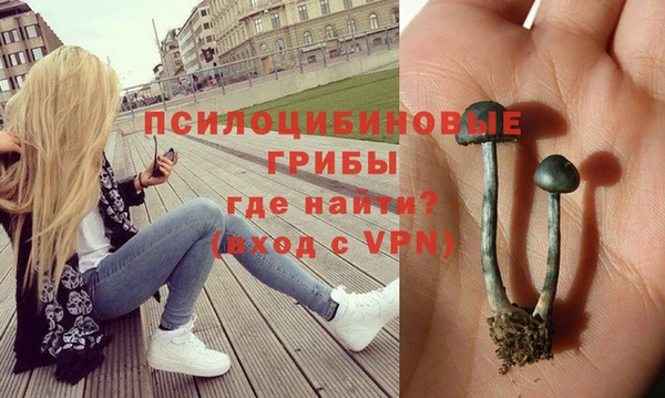 каннабис Нефтекумск