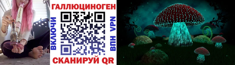 Галлюциногенные грибы мицелий  что такое   Калач-на-Дону 
