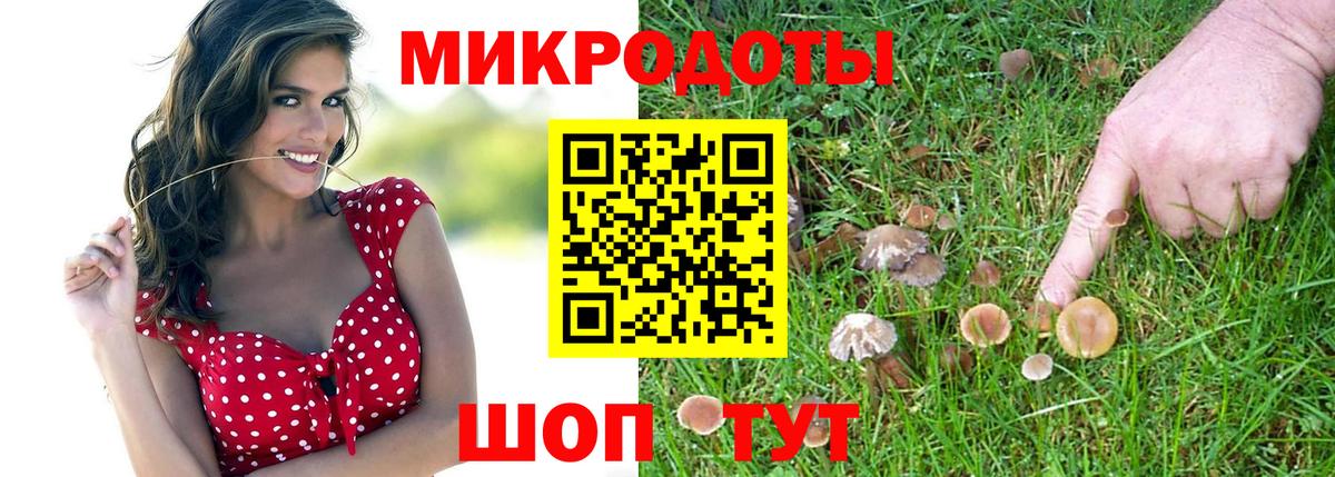 Галлюциногенные грибы прущие грибы Калач-на-Дону