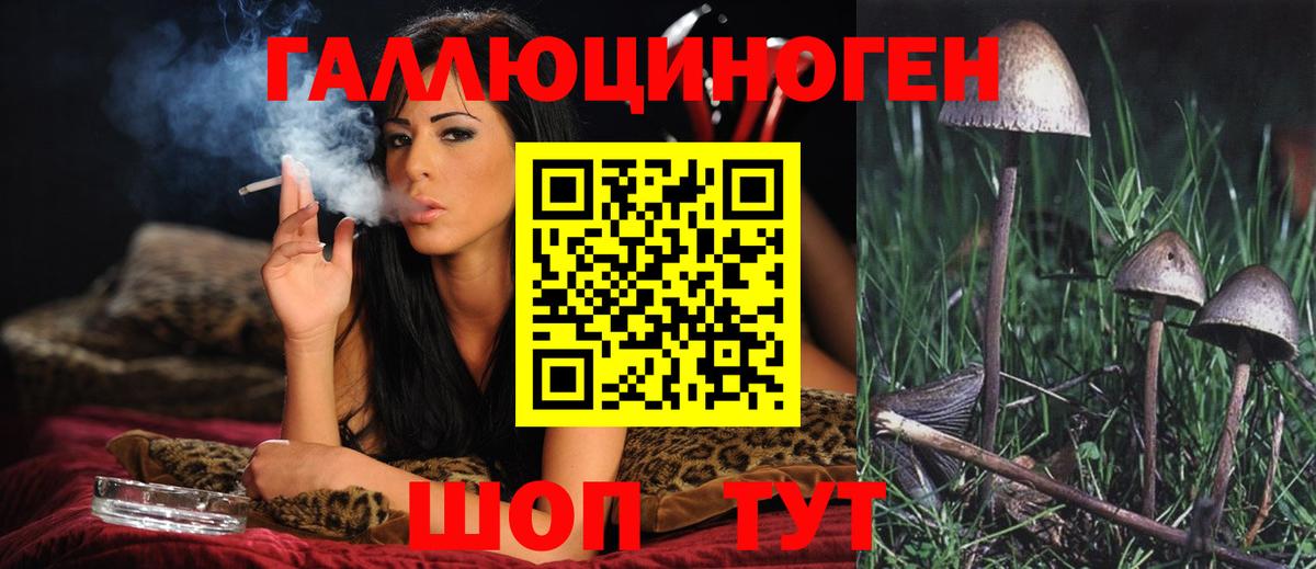 Псилоцибиновые грибы GOLDEN TEACHER  Калач-на-Дону  Псилоцибиновые грибы мухоморы 