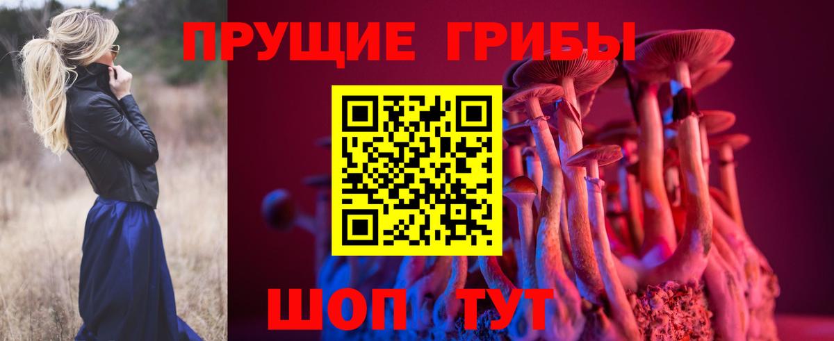 Псилоцибиновые грибы Psilocybine cubensis  Вход с VPN  Калач-на-Дону 